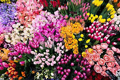 复古益智游戏合集《Last Call BBS》 现已在Steam抢先发售