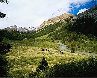 浪人鹰眼再出江湖《漫威复仇者》展望未来新内容