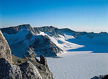 Switch2取消Mii性别选项：玩家只能选择角色风格